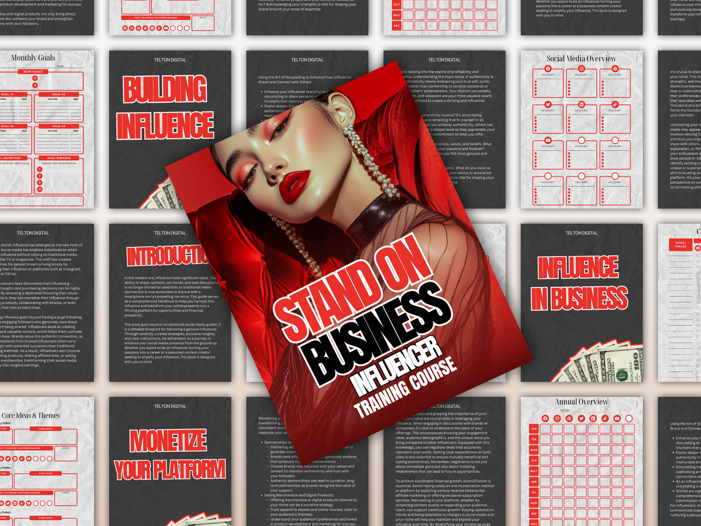 Stand On Business Influencer eBook Guide