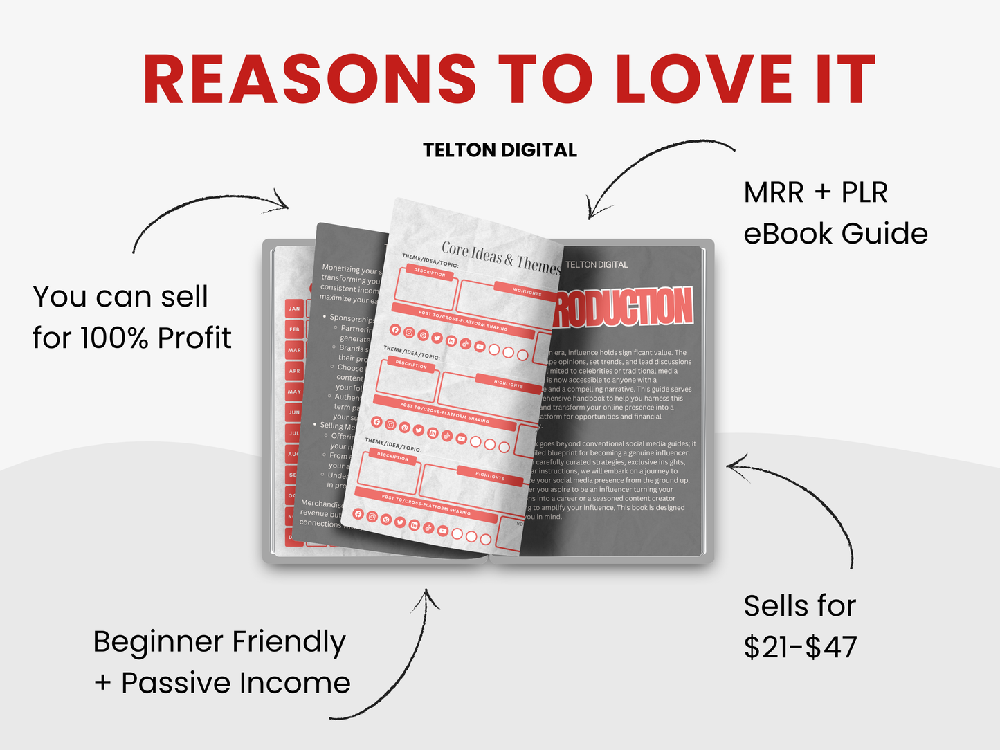 Stand On Business Influencer eBook Guide